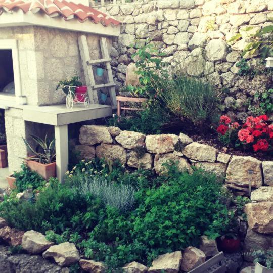 Mala Cele Daire Podgora Dış mekan fotoğraf